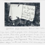 Duane Michals, photograph