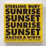 Simon Linke, Sterling Ruby at Hauer & Wirth