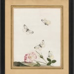 Nicolaas Struyck (1686-1769) Hedgerow rose with butterflies