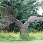 Peter Busby, Dragonfly, 2001
