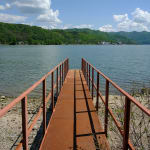 Sorin Neamtu, Score No2424, 2024