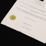 Bogdan Gîrbovan, GĂLBINAȘI_2, 2006