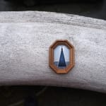 Bogdan Gîrbovan, BRAD METALIC, 2010