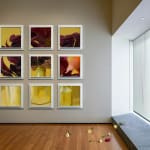 Gregory Scott, Revolting, 2008