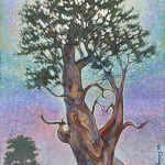 Shonto Begay, Lightning Tree, 2017