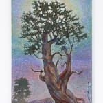 Shonto Begay, Lightning Tree, 2017