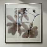 Jeri Eisenberg, Warm Waters, No. 36
