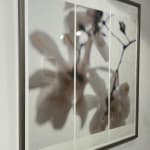 Jeri Eisenberg, Warm Waters, No. 36