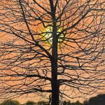 John L. Cleaveland, Jr., Simple Gifts
