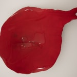 Kate Doyle, Vermilion X