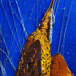 Terri Grant, Three Birds