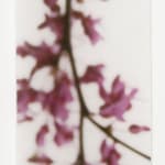 Jeri Eisenberg, Warm Waters, No. 36