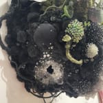 Amy Gross, Viridi Noctu