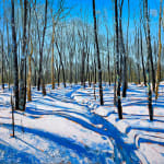 David Shingler, Winter Shadows