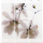 Jeri Eisenberg, Warm Waters, No. 36