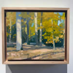 Paul Sattler, Remedy with Onlookers