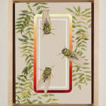 Jessica Tenbusch, Summer Sounds Ignored