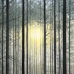 John L. Cleaveland, Jr., Simple Gifts