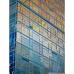 Elizabeth Busey, Skies are Everywhere as Blue