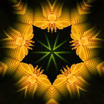 Tim Tate, Lenticular III