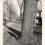 Andy Farkas, Four Stories