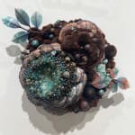 Amy Gross, T. Versicolor Biotope