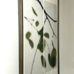 Jeri Eisenberg, Warm Waters, No. 36