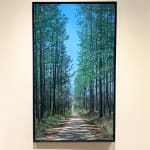 John L. Cleaveland, Jr., Walking with Miss Rachel, Bishop Johnson Road, Archery, GA