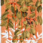Jessica Tenbusch, Spring Shadows (Poppy)