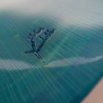 Kate Doyle, Peacock I