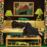 Patty Carroll, Wallpapered