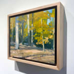 Paul Sattler, Remedy with Onlookers
