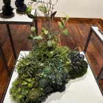 Amy Gross, T. Versicolor Biotope