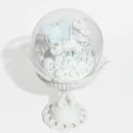 Amber Cowan, Toltec Bouquet in Milk