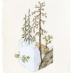 Bryce Lafferty, West (The Tree of Life)