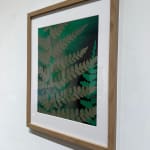 Steven L. Anderson, Ten Thousand Years #4