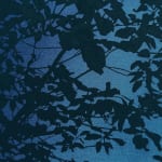 Rachel Campbell, My Summer Wonderland