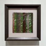 Samantha Bates, Weathered Embrace