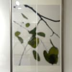 Jeri Eisenberg, Warm Waters, No. 36