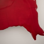 Kate Doyle, Vermilion X