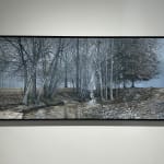 John L. Cleaveland, Jr., Tupelo Swamp/Hog Creek