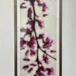 Jeri Eisenberg, Warm Waters, No. 36