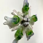 Christina Bothwell, Tea Party