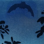 Rachel Campbell, My Summer Wonderland