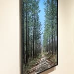 John L. Cleaveland, Jr., Walking with Miss Rachel, Bishop Johnson Road, Archery, GA
