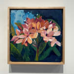 Dana Brown, Work