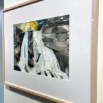 Mariella Bisson, Plattekill Falls, Move Me Brightly