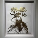 Jill Hotchkiss, Weeping