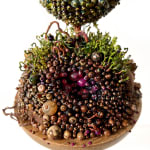 Amy Gross, Viridi Noctu