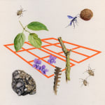 Jessica Tenbusch, Spring Shadows (Poppy)